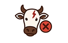icon1