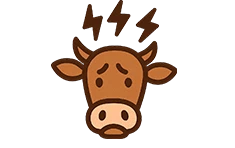 icon4